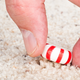 Imagen: Joe Belanger / Shutterstock